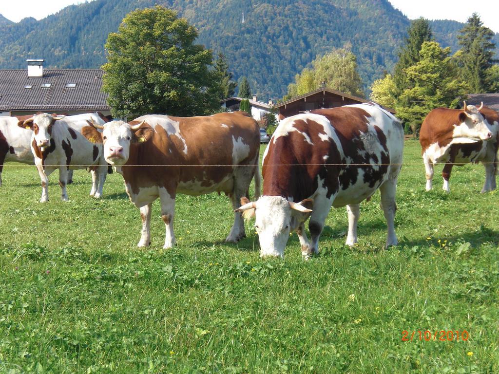 Familien-Bauernhof-Berghammer Rottach-Egern Exterior foto